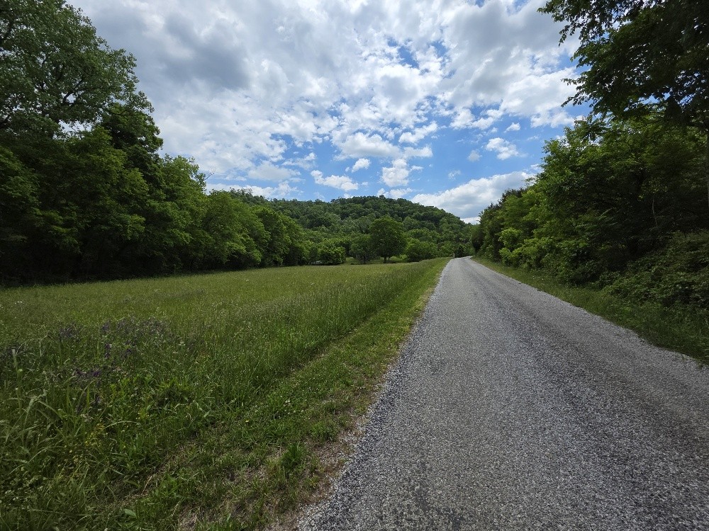 96 Maranatha Hollow Lane Dixon Springs TN 37057