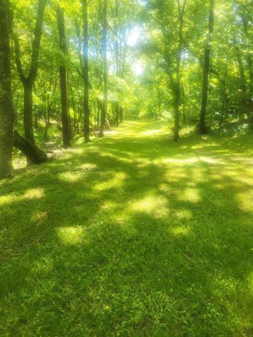 96 Maranatha Hollow Lane Dixon Springs TN 37057