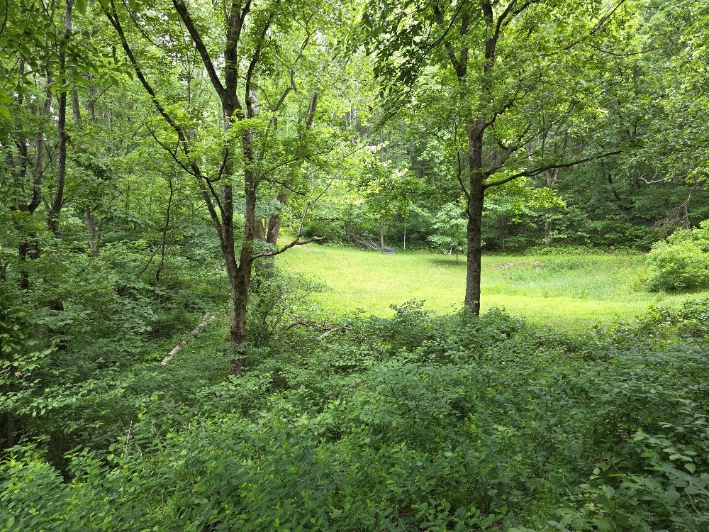96 Maranatha Hollow Lane Dixon Springs TN 37057