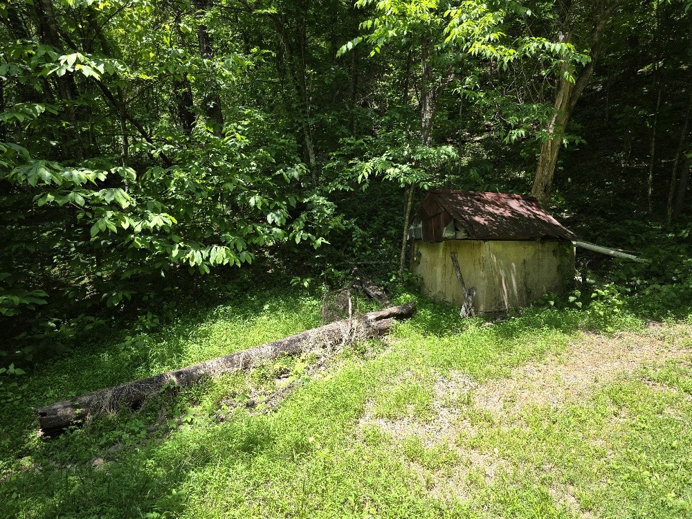 96 Maranatha Hollow Lane Dixon Springs TN 37057
