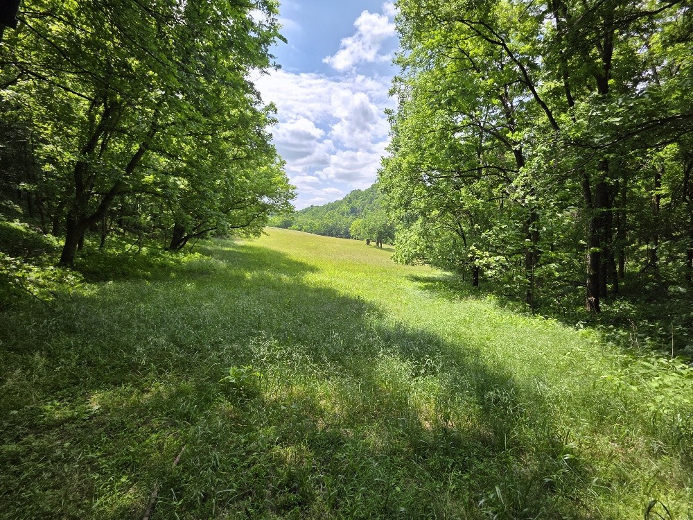 96 Maranatha Hollow Lane Dixon Springs TN 37057