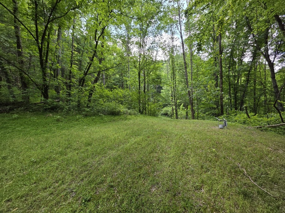 96 Maranatha Hollow Lane Dixon Springs TN 37057
