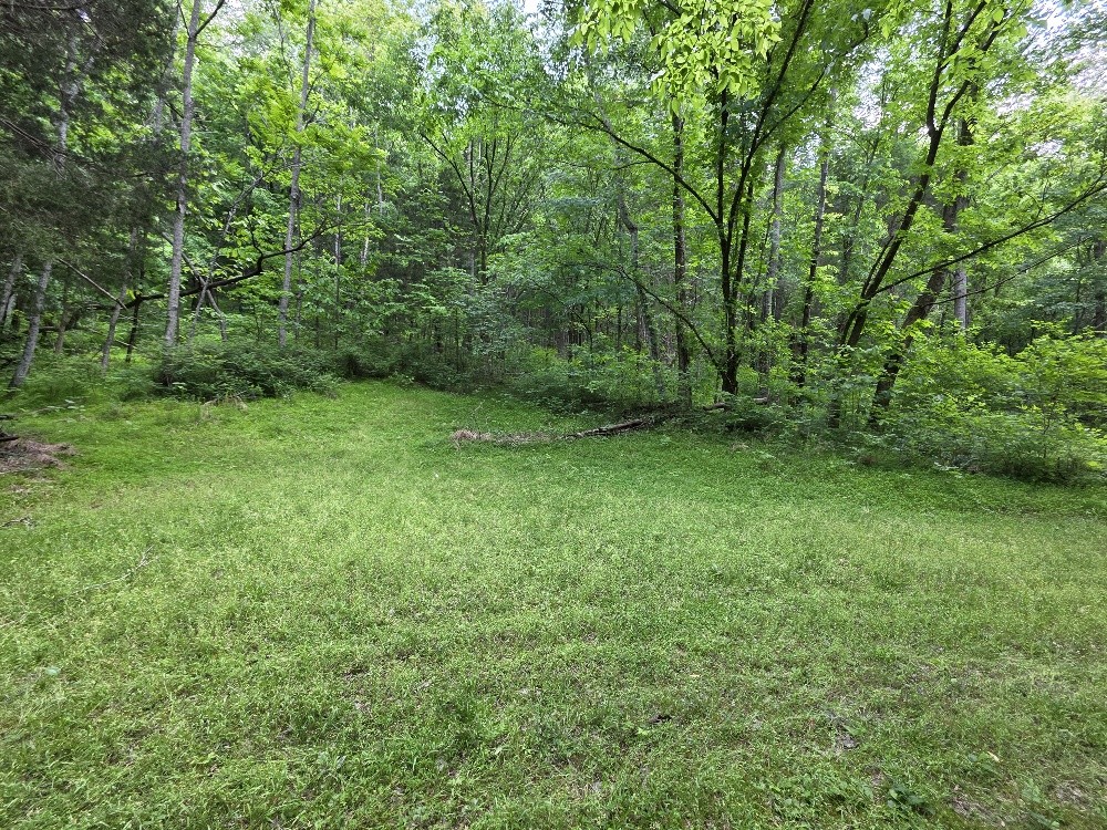 96 Maranatha Hollow Lane Dixon Springs TN 37057