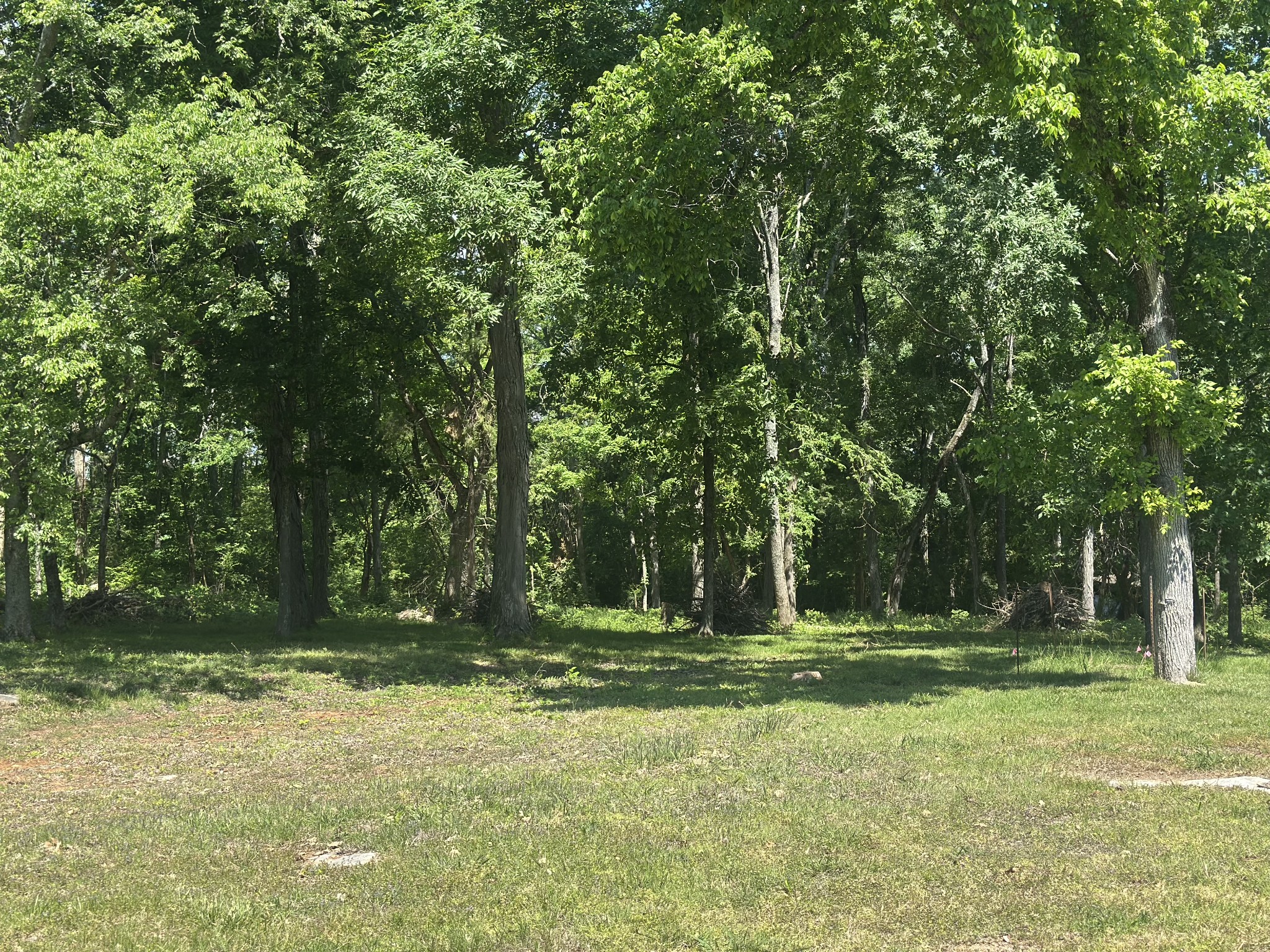189 Trinity Road Franklin TN 37067
