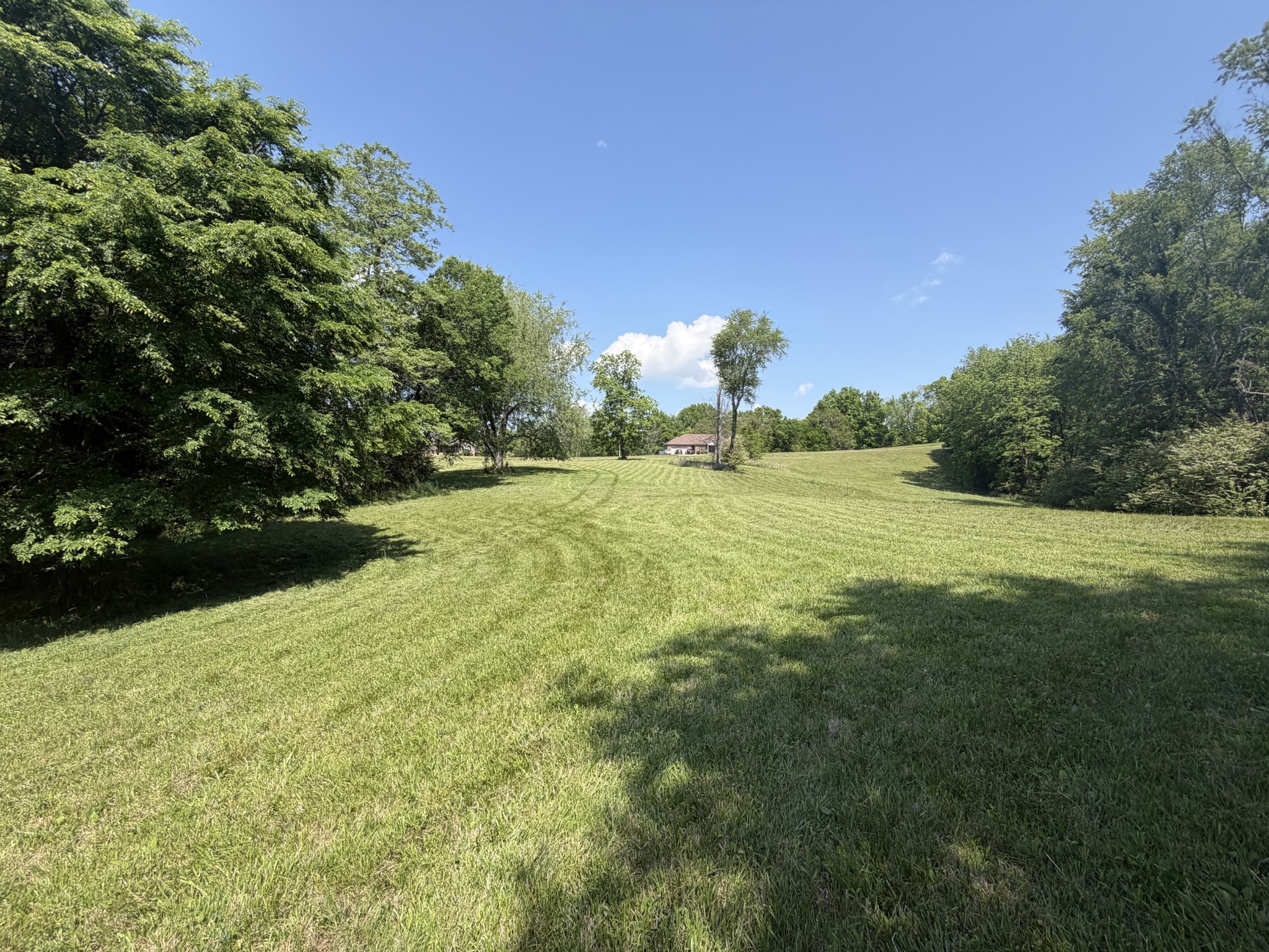 155 Rambling Ridge Pulaski TN 38478