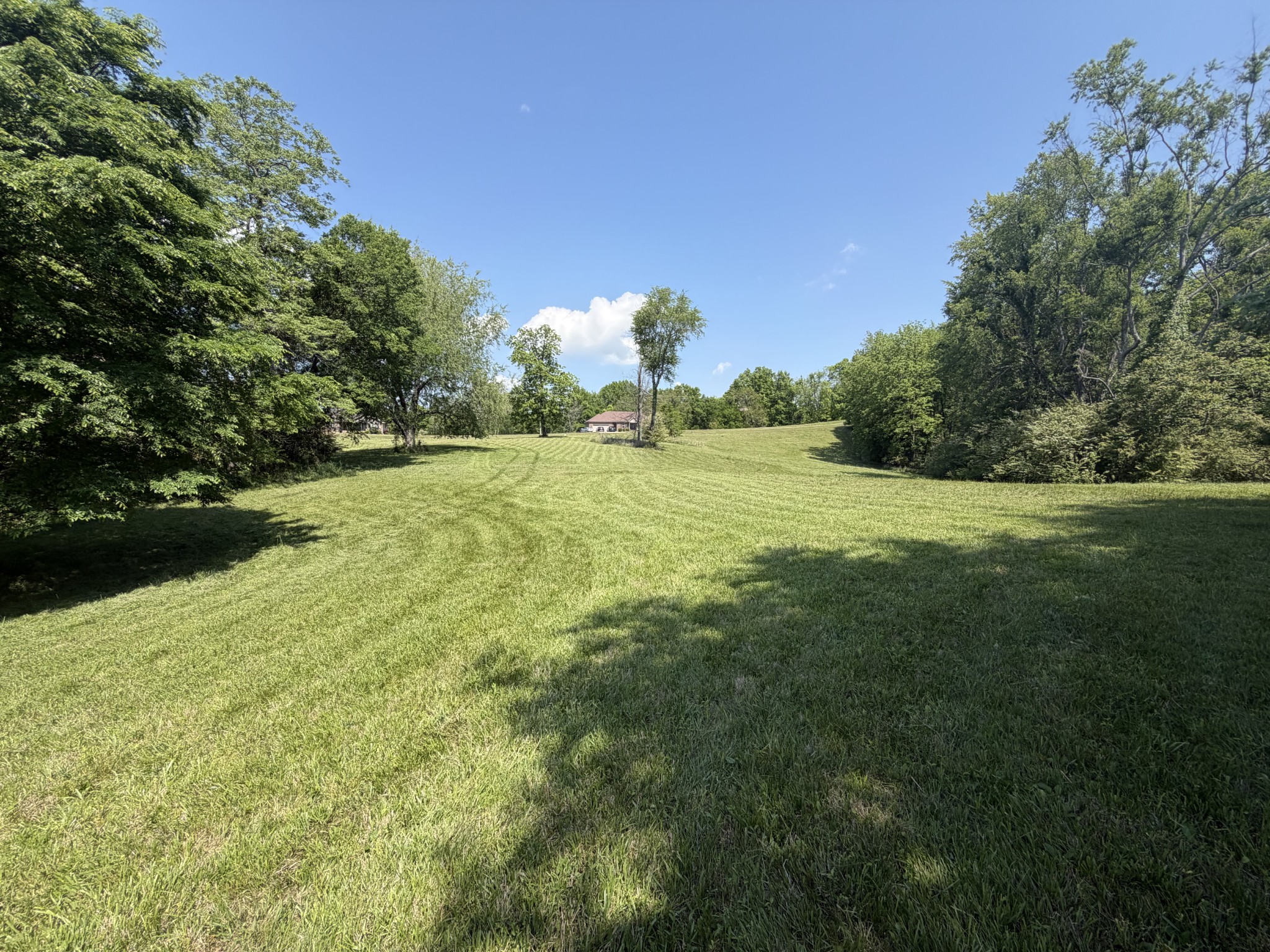 155 Rambling Ridge Pulaski TN 38478