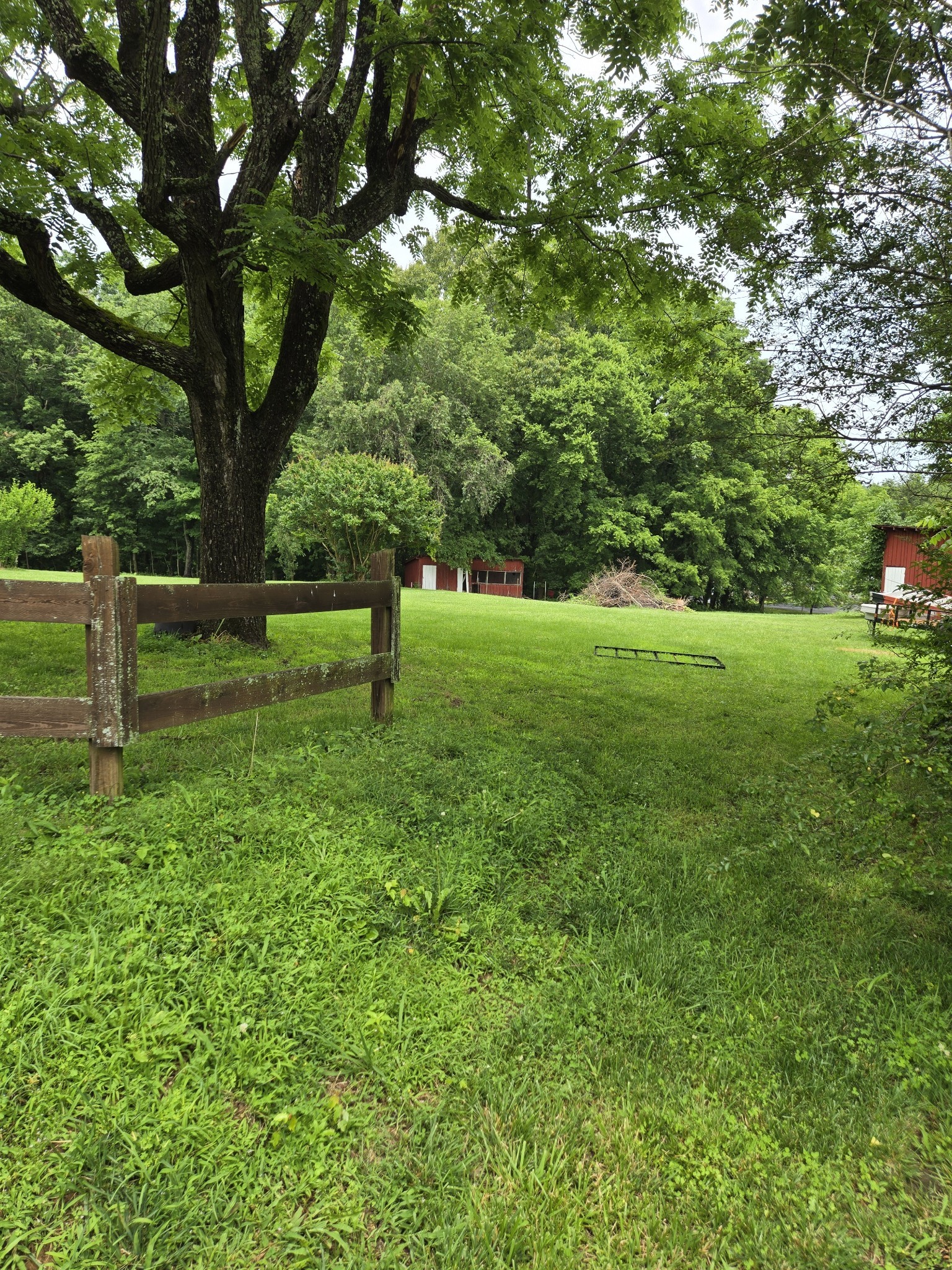 0 Martin Lane Cottontown TN 37048