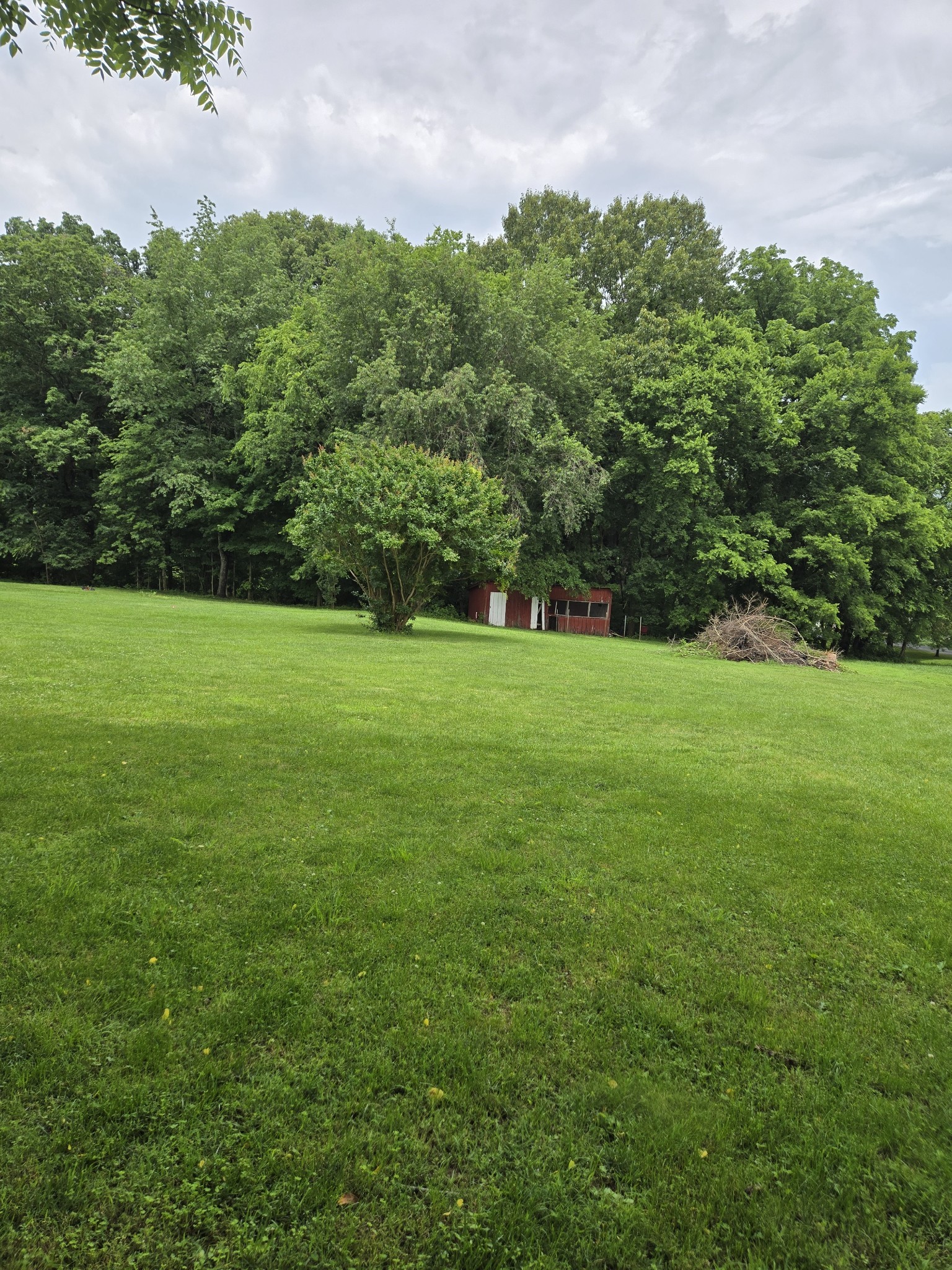 0 Martin Lane Cottontown TN 37048