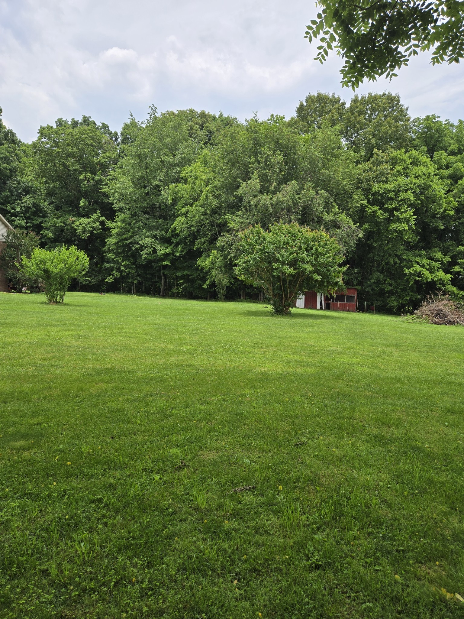 0 Martin Lane Cottontown TN 37048