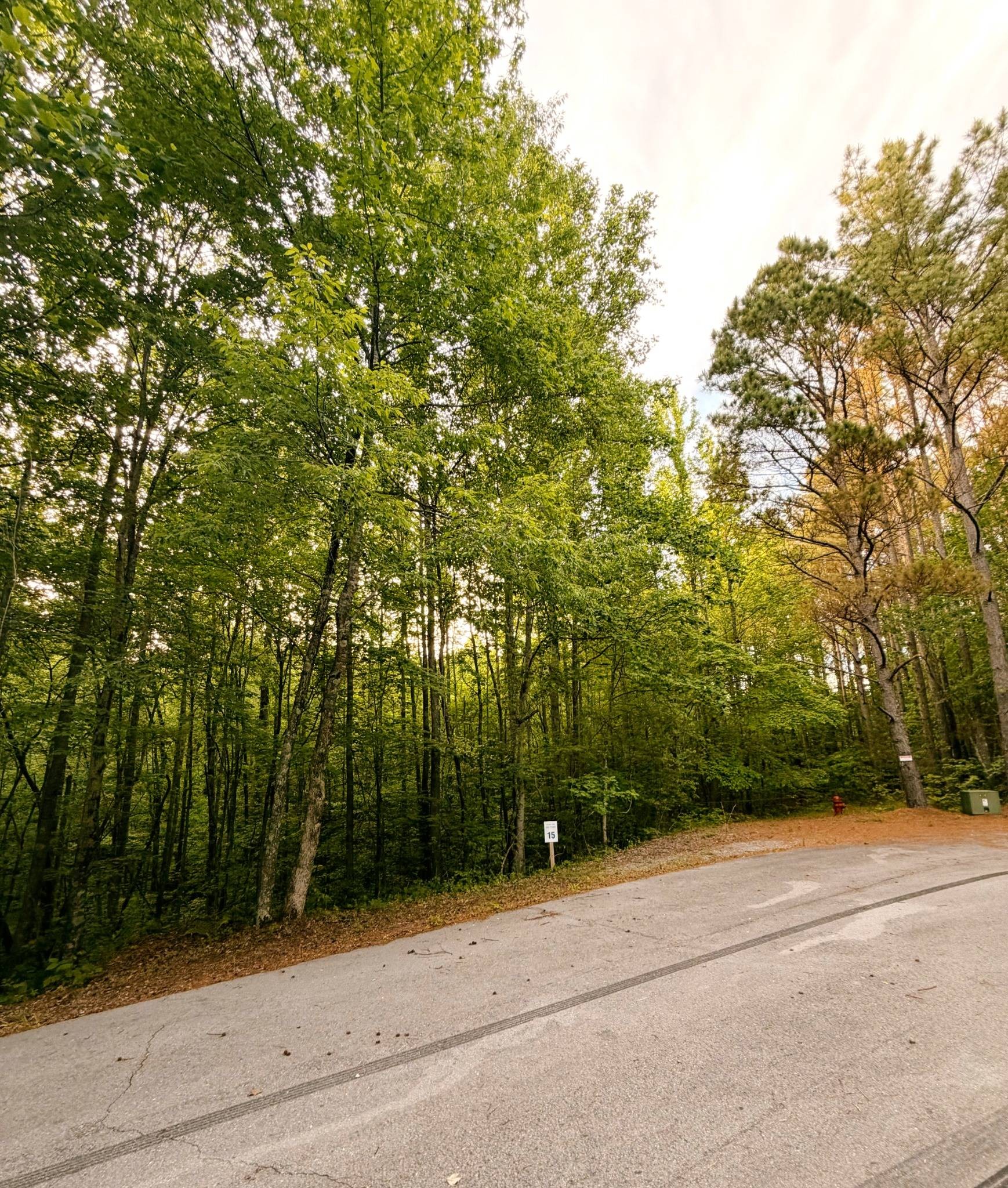 0 Allen Bend Road Smithville TN 37166