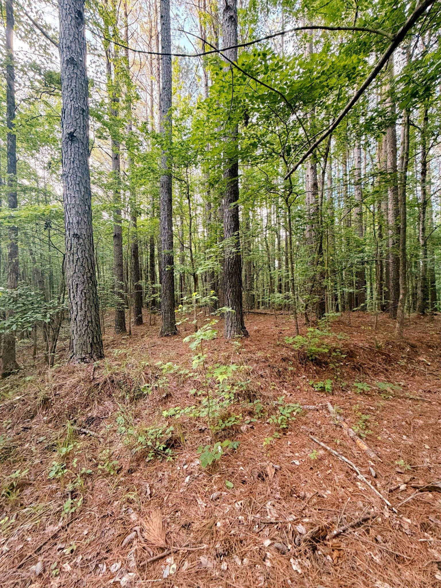 0 Allen Bend Road Smithville TN 37166