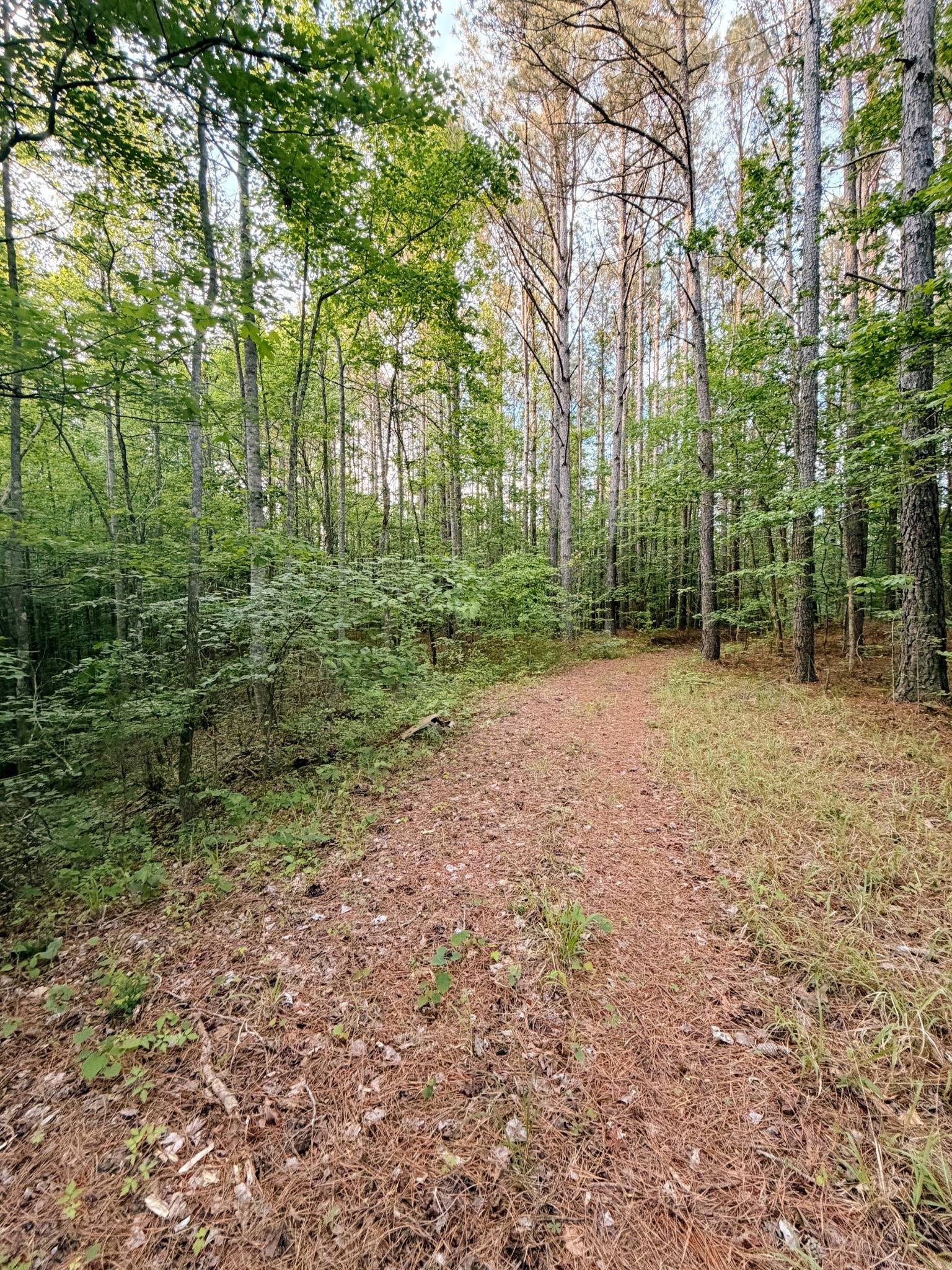 0 Allen Bend Road Smithville TN 37166