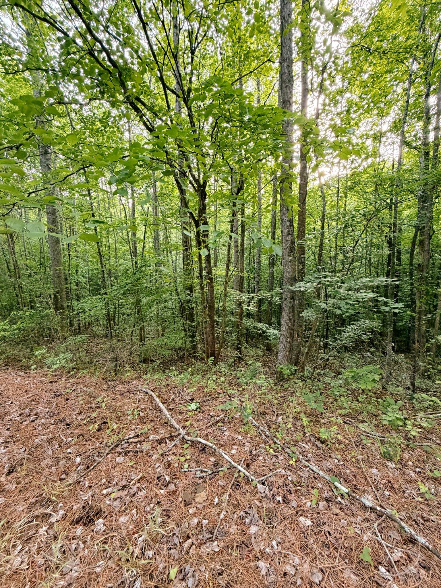 0 Allen Bend Road Smithville TN 37166