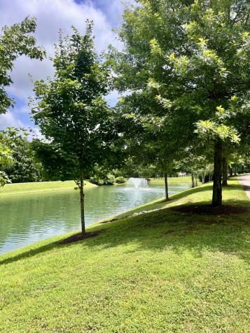 222 Danton Court Franklin TN 37067