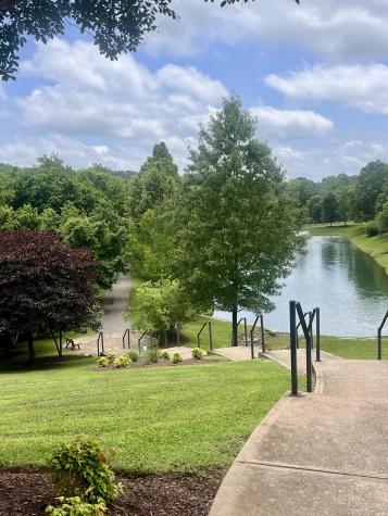 222 Danton Court Franklin TN 37067