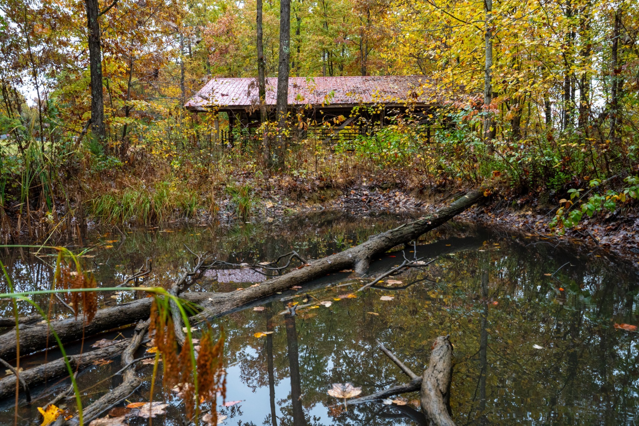 0 Roanoke Road Jamestown TN 38556