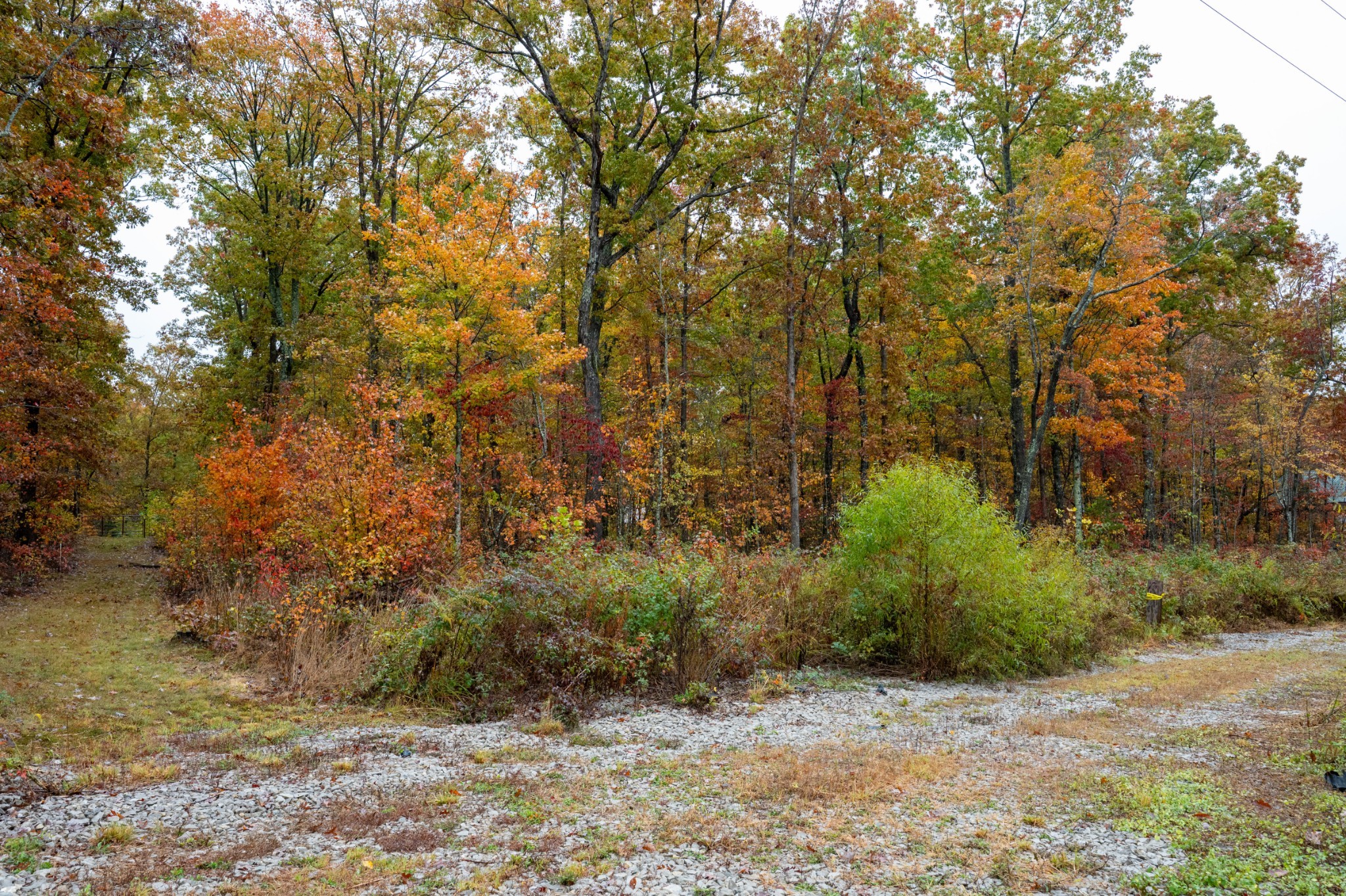 0 Roanoke Road Jamestown TN 38556
