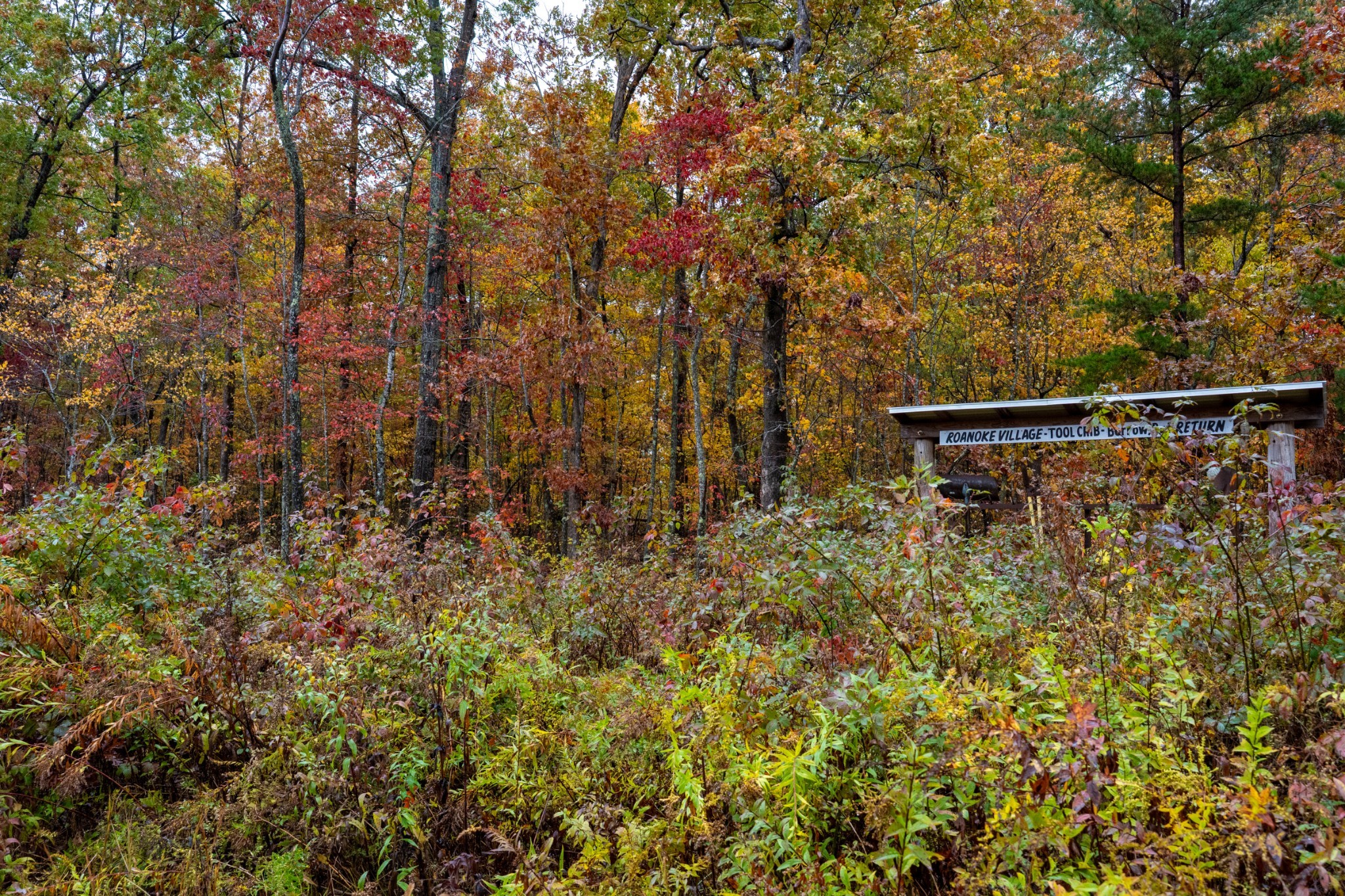 0 Roanoke Road Jamestown TN 38556