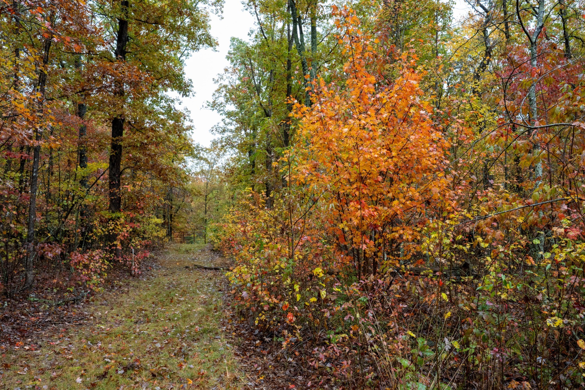 0 Roanoke Road Jamestown TN 38556