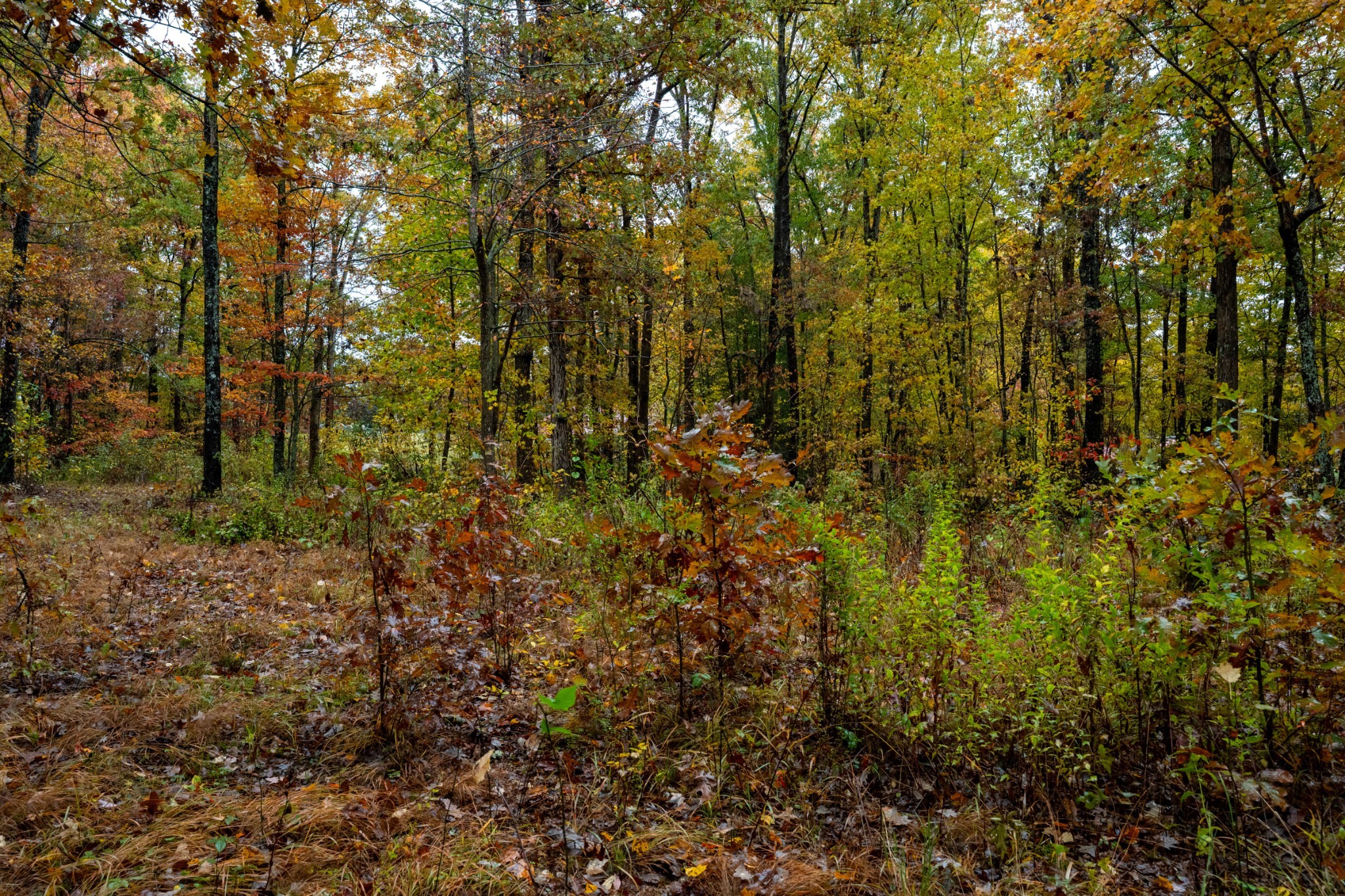 0 Roanoke Road Jamestown TN 38556