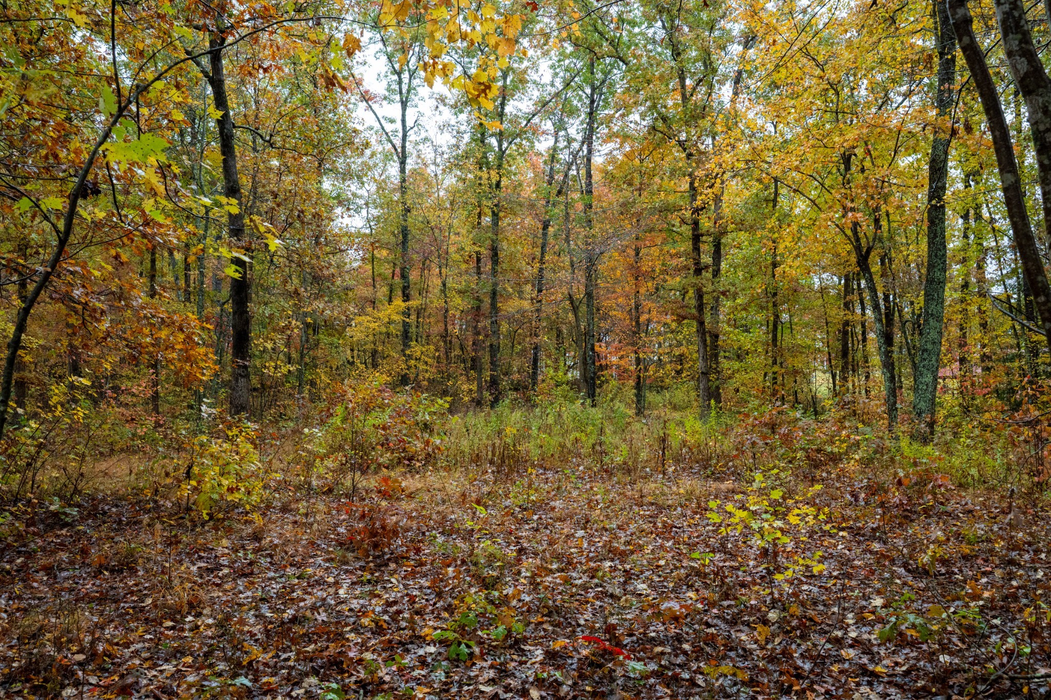 0 Roanoke Road Jamestown TN 38556