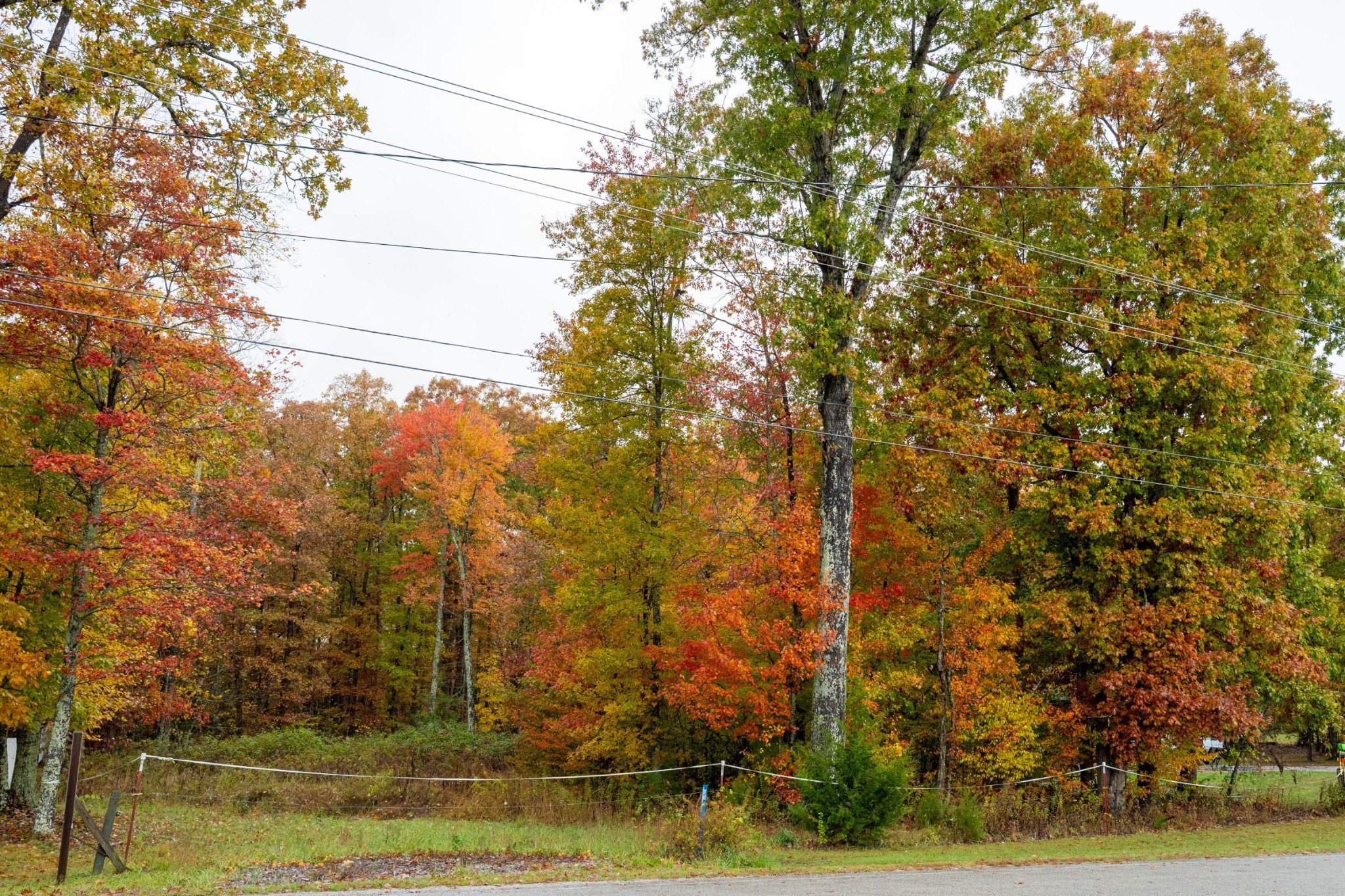 0 Roanoke Road Jamestown TN 38556