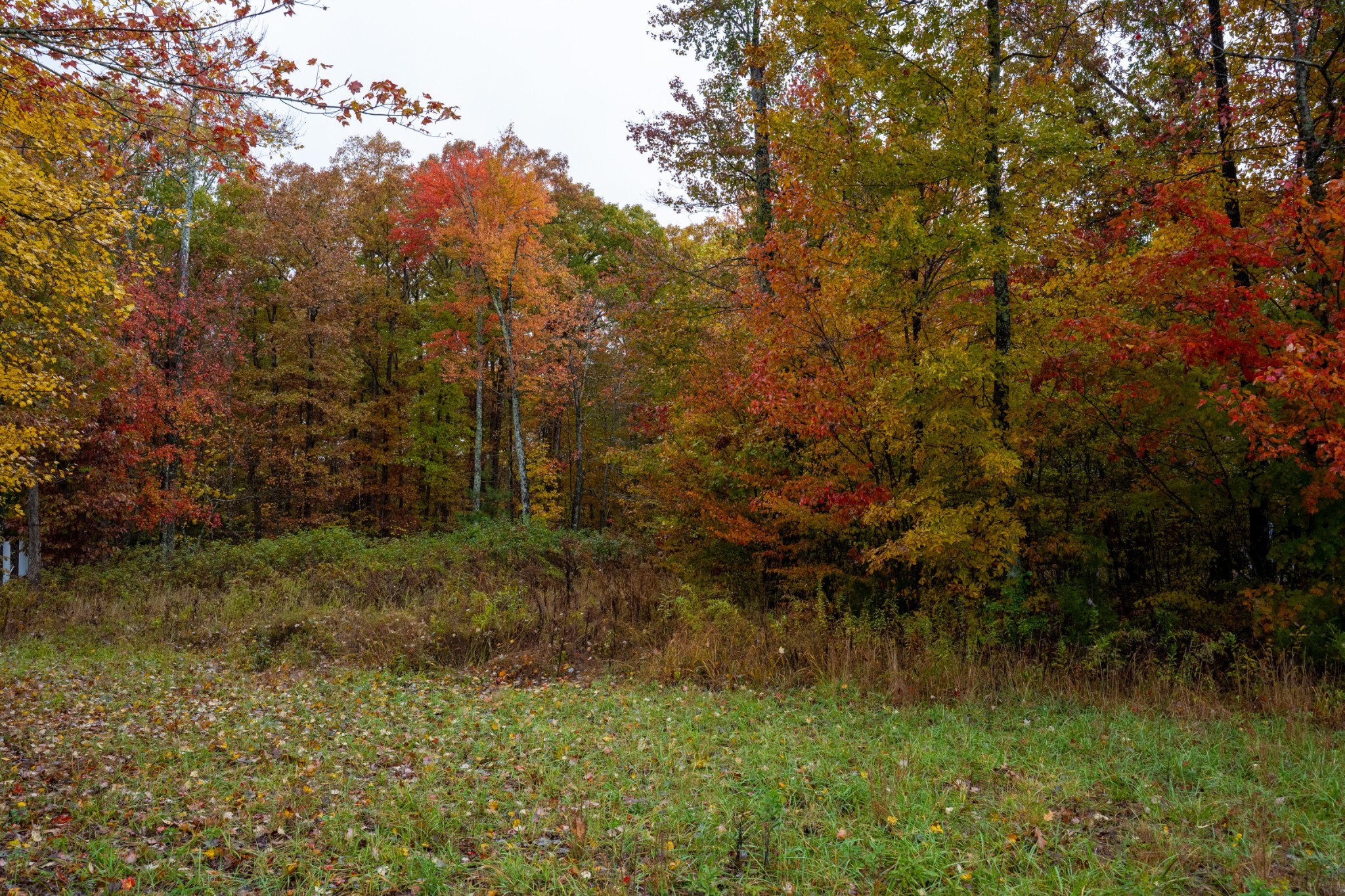 0 Roanoke Road Jamestown TN 38556