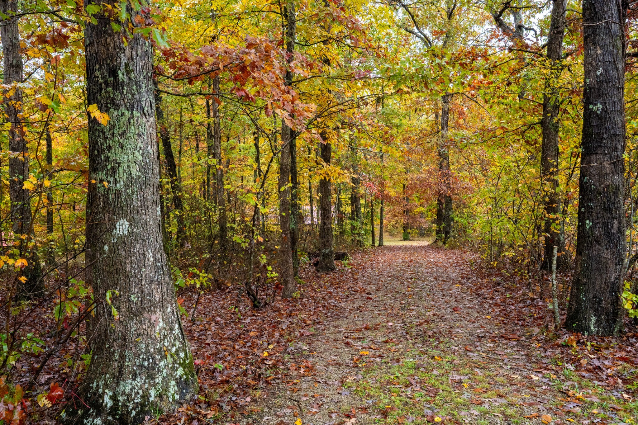 0 Roanoke Road Jamestown TN 38556