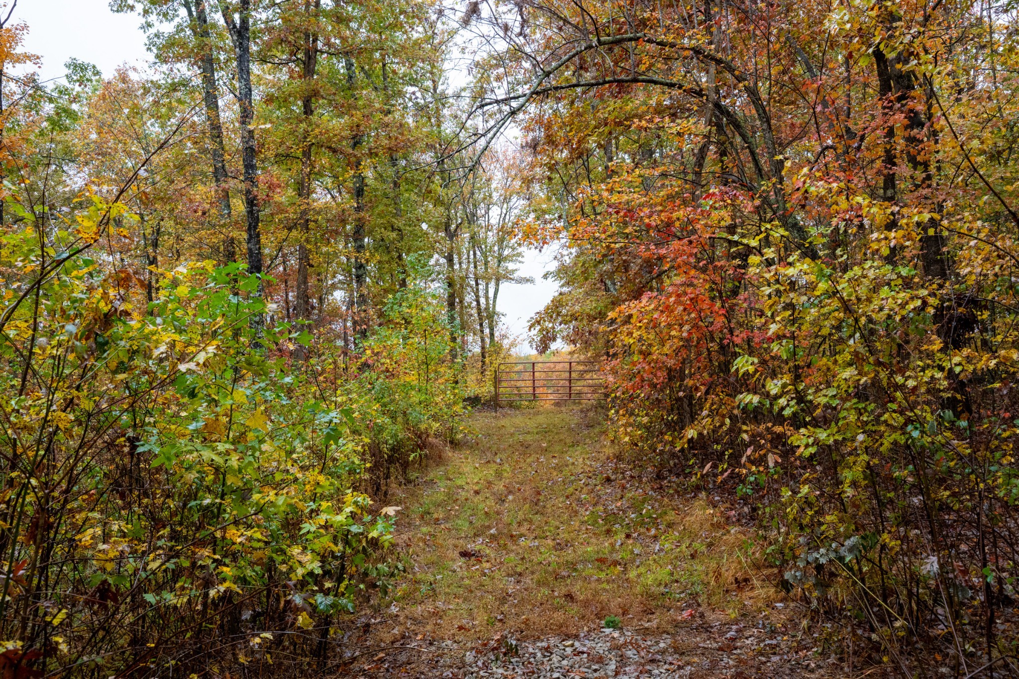 0 Roanoke Road Jamestown TN 38556