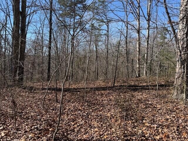 2 South Pittsburg Mtn Road South Pittsburg TN 37380