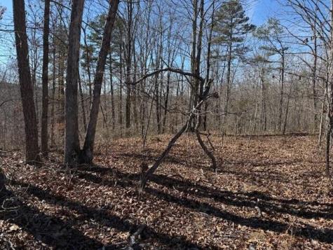 2 South Pittsburg Mtn Road South Pittsburg TN 37380