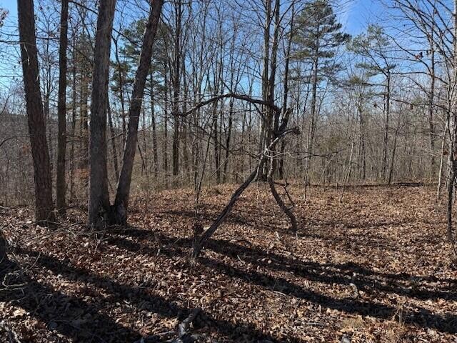 2 South Pittsburg Mtn Road South Pittsburg TN 37380
