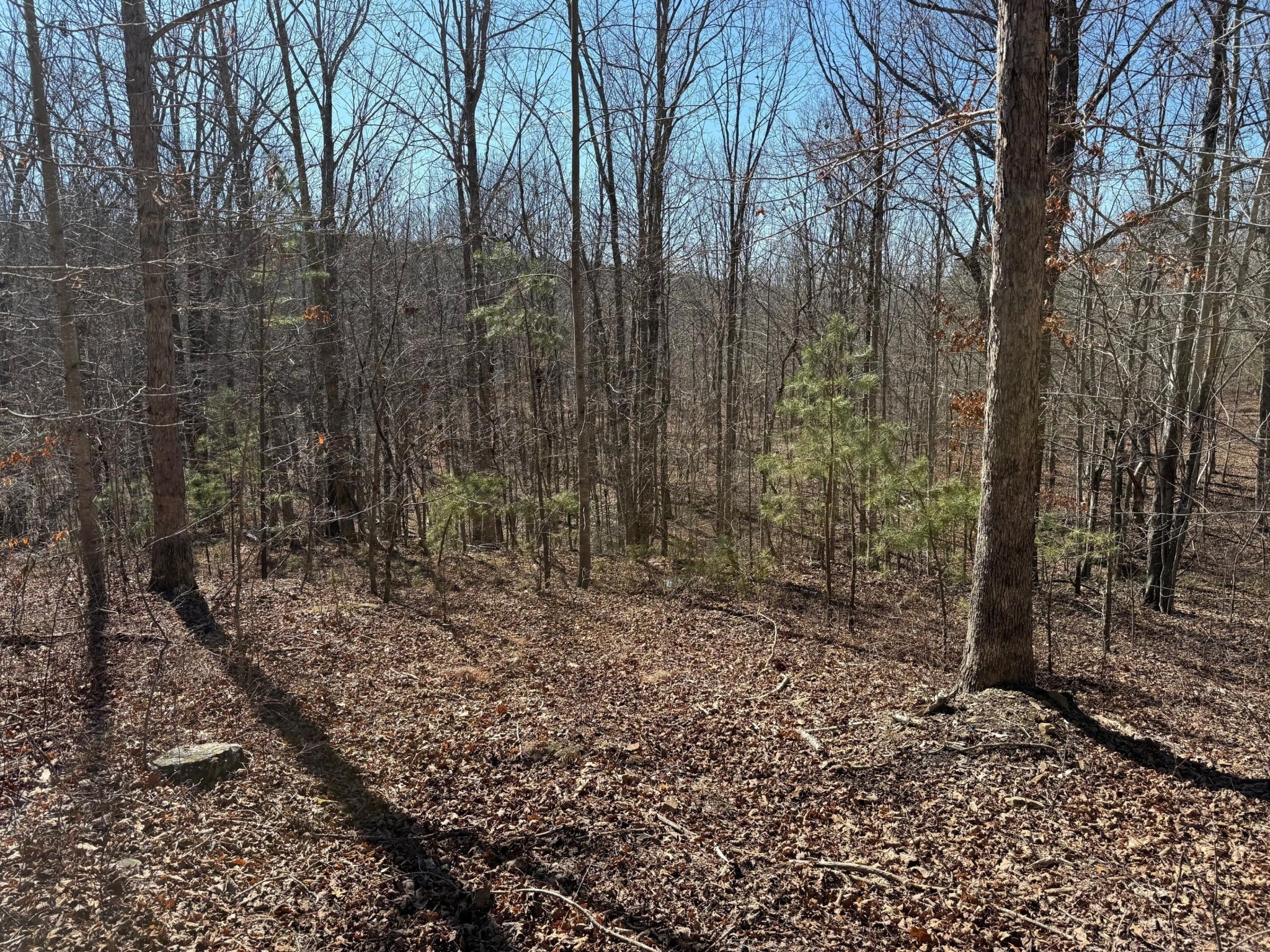 2 South Pittsburg Mtn Road South Pittsburg TN 37380