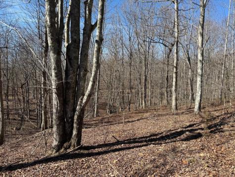 2 South Pittsburg Mtn Road South Pittsburg TN 37380