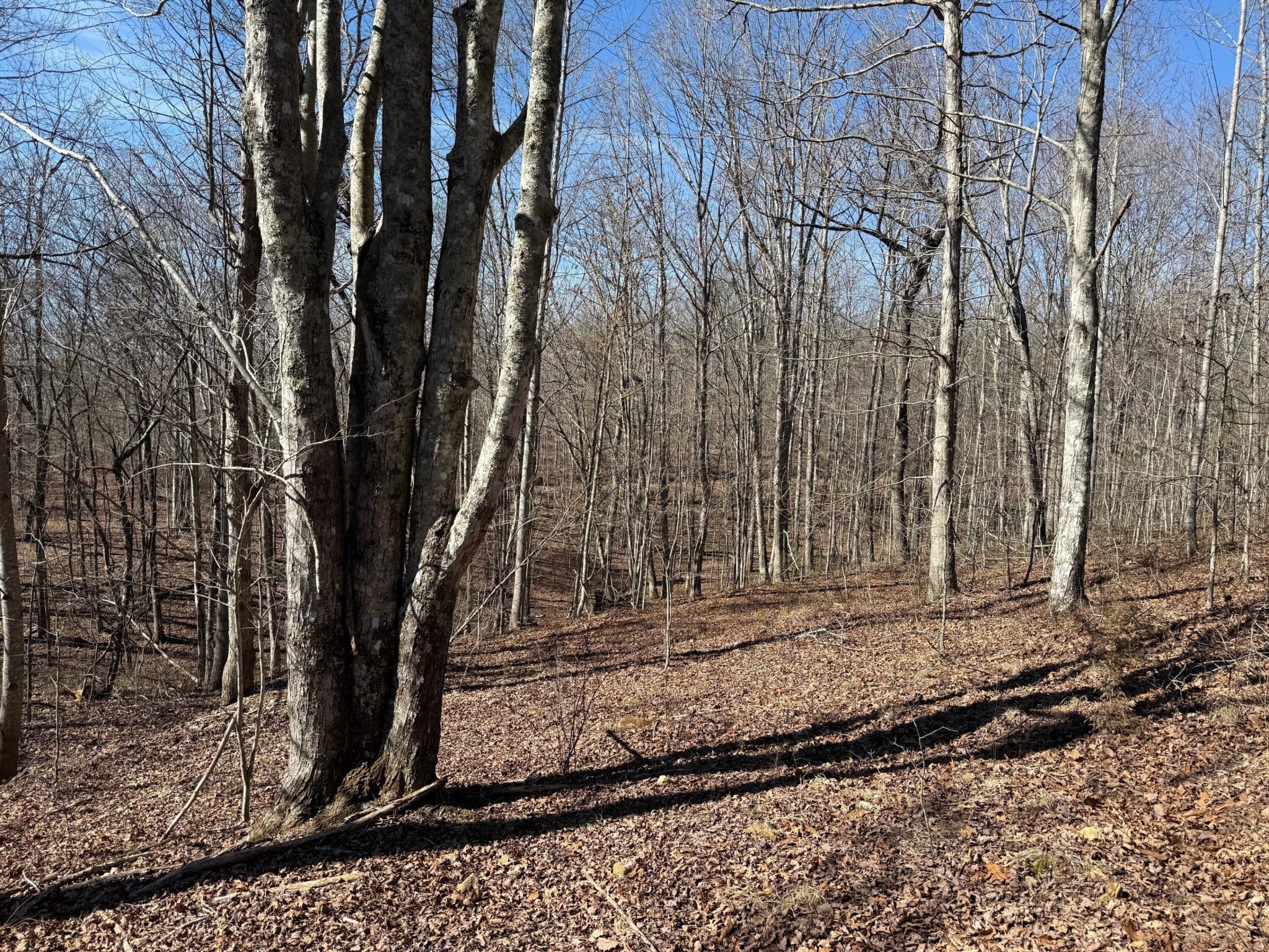 2 South Pittsburg Mtn Road South Pittsburg TN 37380