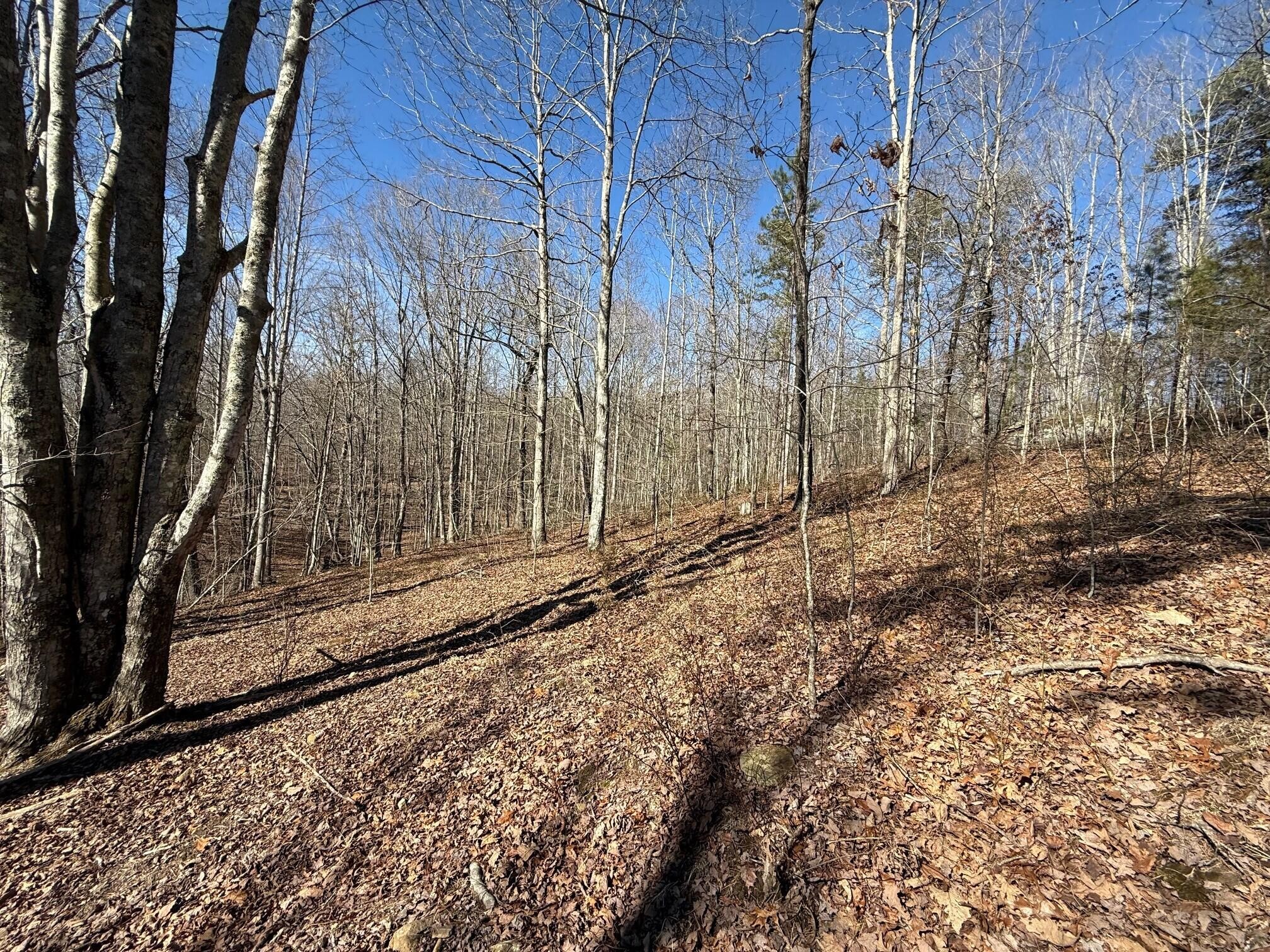 2 South Pittsburg Mtn Road South Pittsburg TN 37380