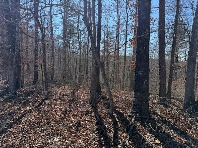 2 South Pittsburg Mtn Road South Pittsburg TN 37380