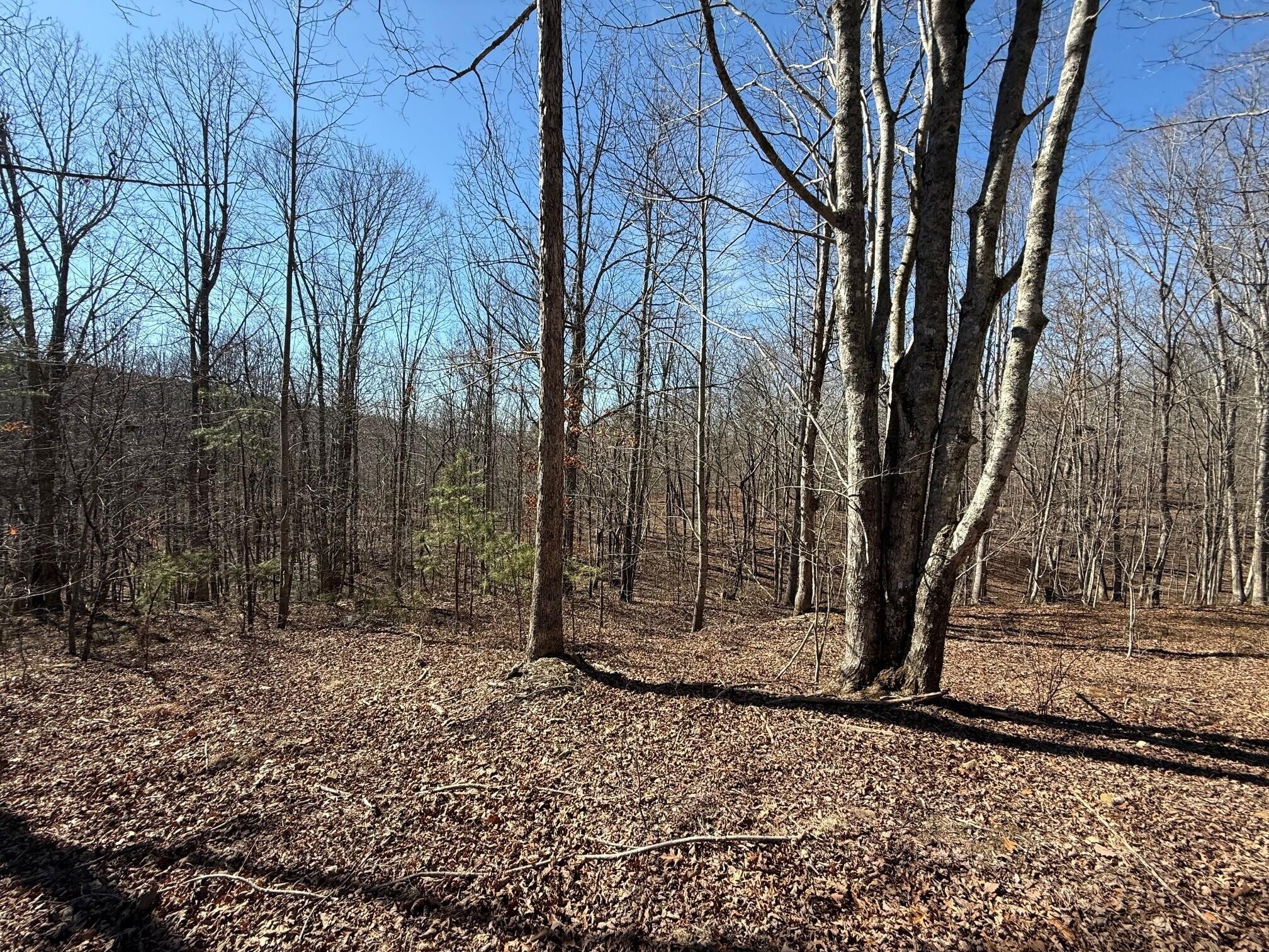 2 South Pittsburg Mtn Road South Pittsburg TN 37380