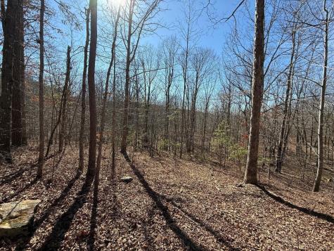 2 South Pittsburg Mtn Road South Pittsburg TN 37380