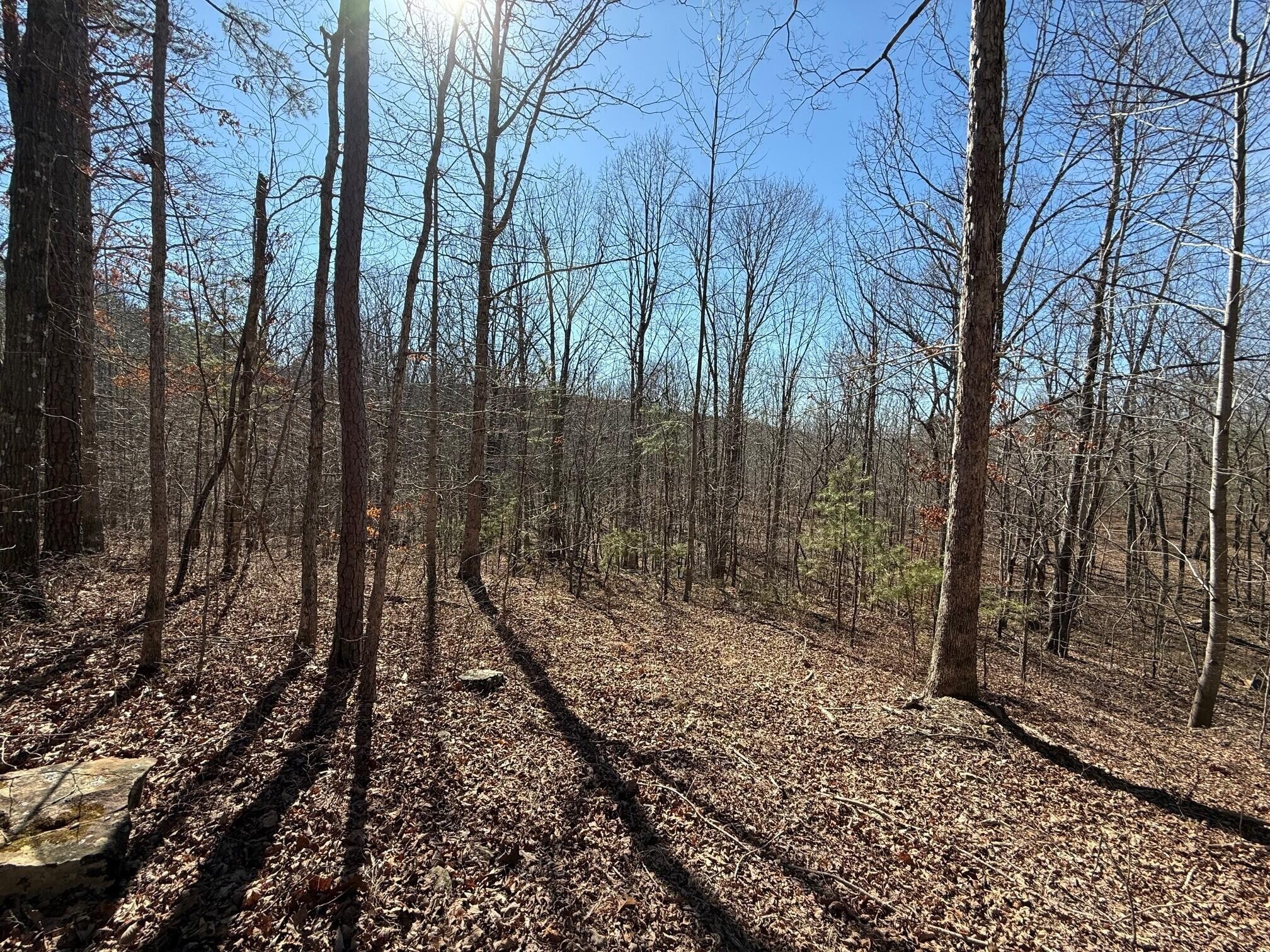 2 South Pittsburg Mtn Road South Pittsburg TN 37380