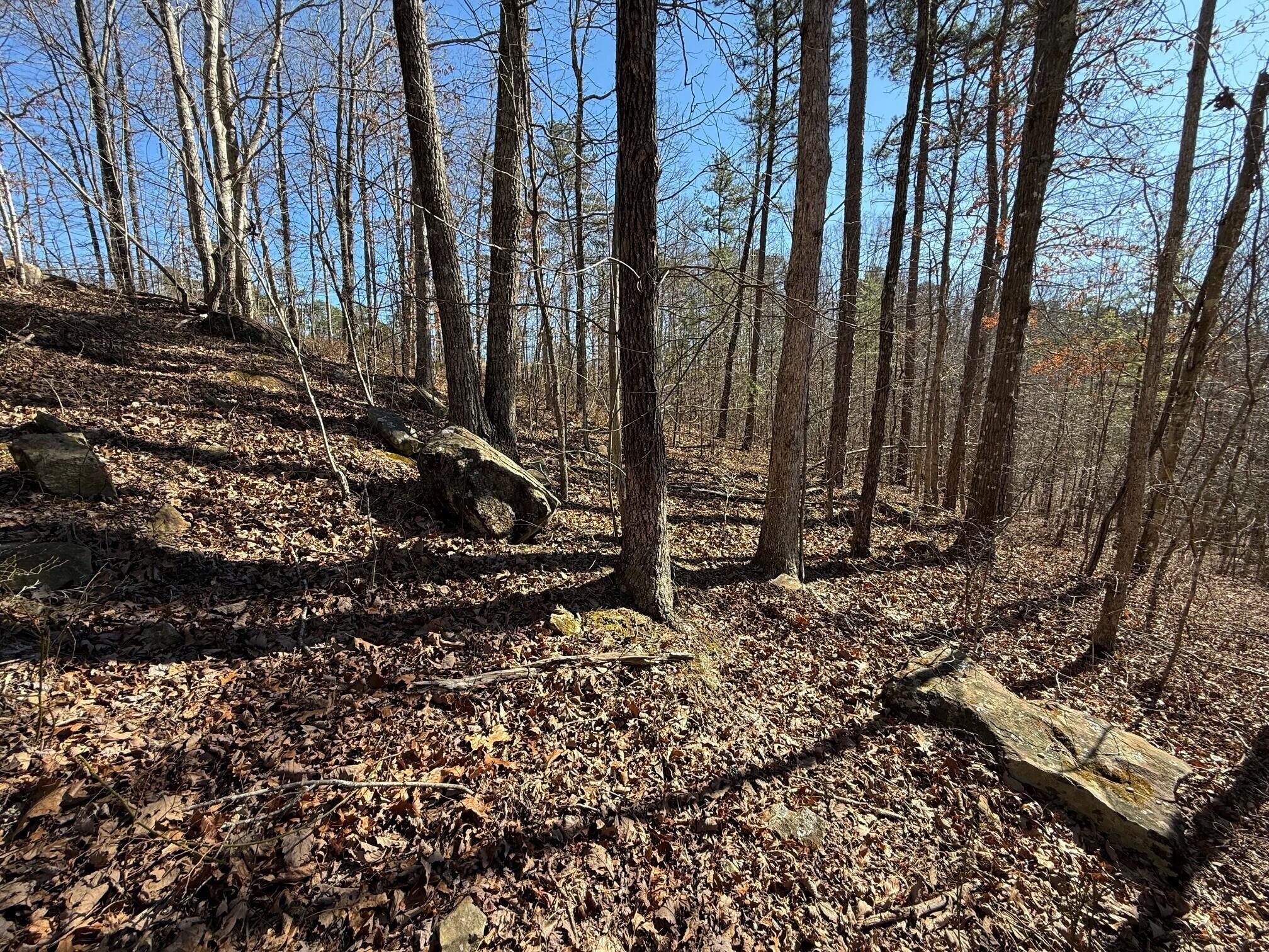 2 South Pittsburg Mtn Road South Pittsburg TN 37380