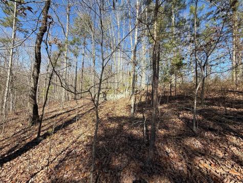 2 South Pittsburg Mtn Road South Pittsburg TN 37380