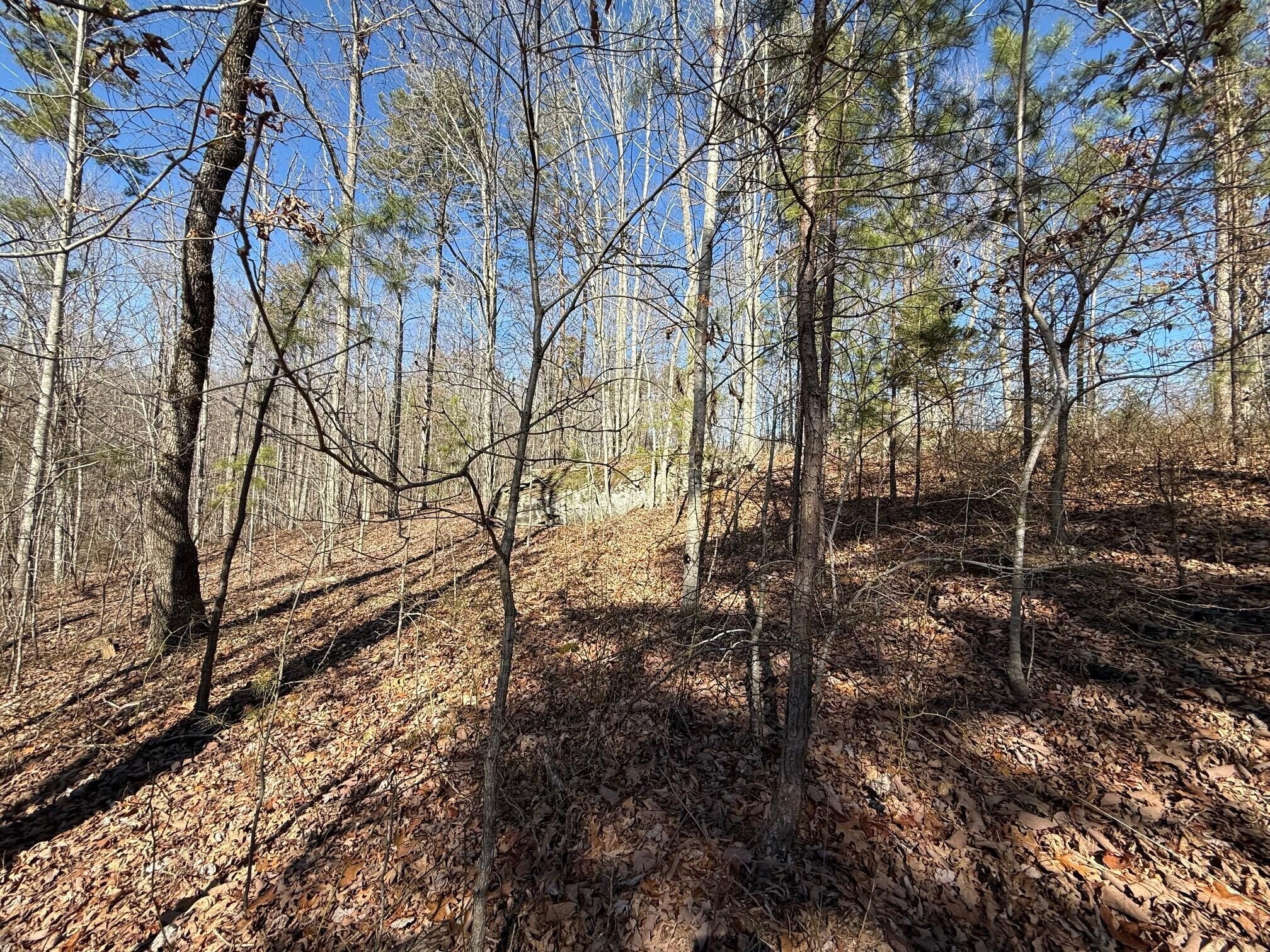 2 South Pittsburg Mtn Road South Pittsburg TN 37380