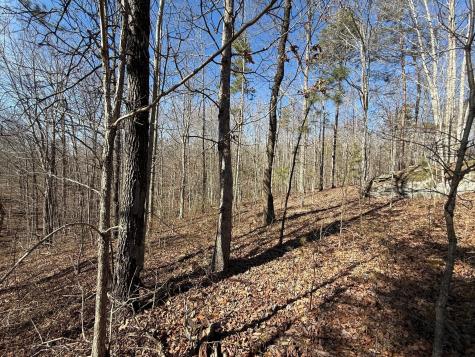 2 South Pittsburg Mtn Road South Pittsburg TN 37380