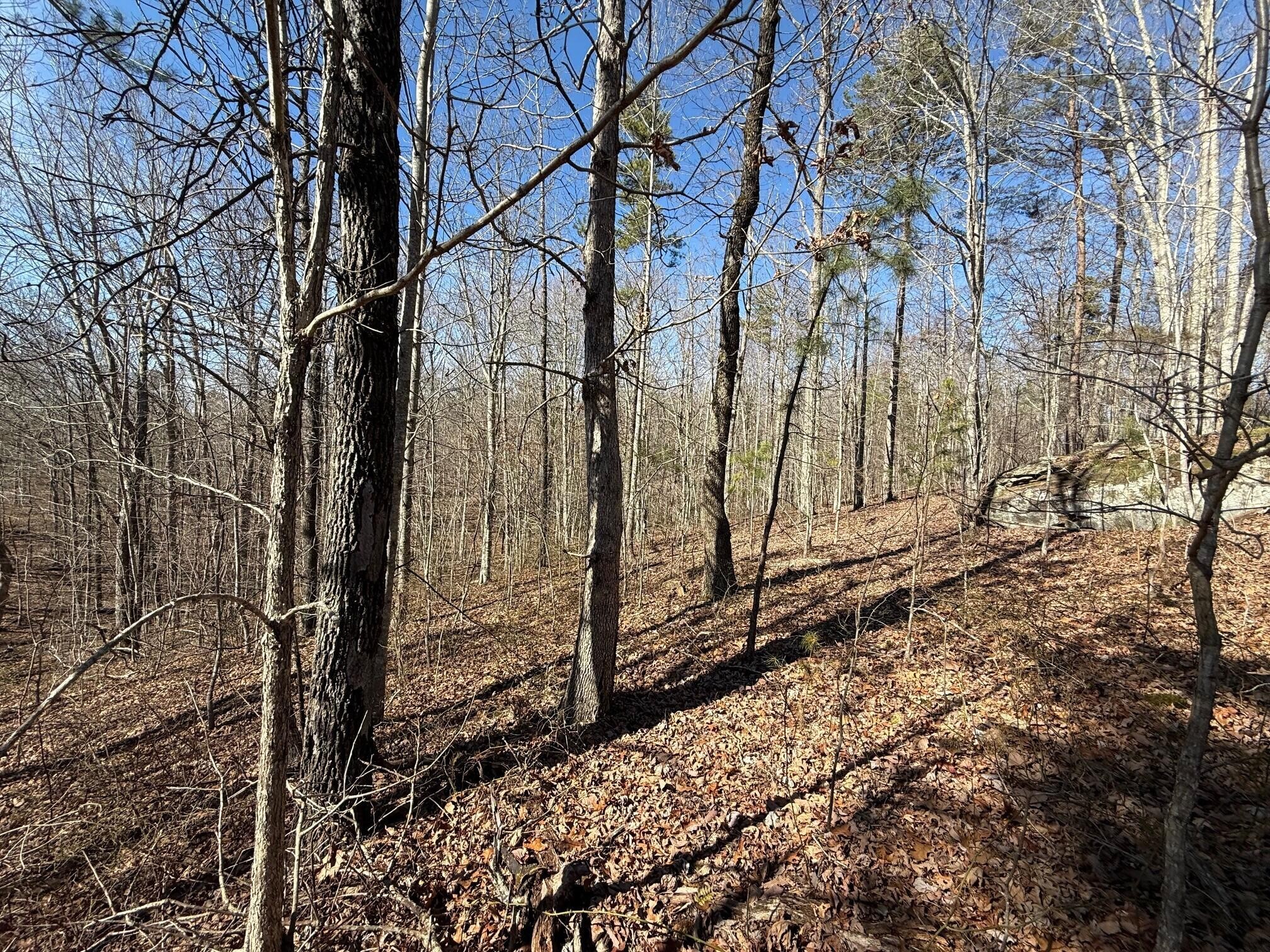 2 South Pittsburg Mtn Road South Pittsburg TN 37380