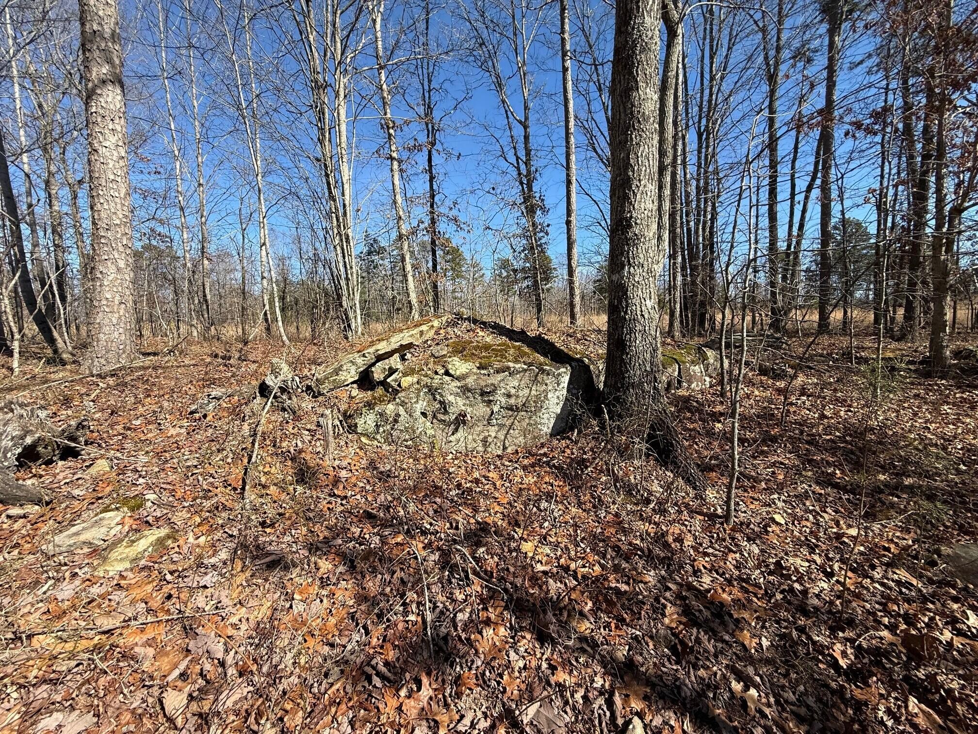 2 South Pittsburg Mtn Road South Pittsburg TN 37380
