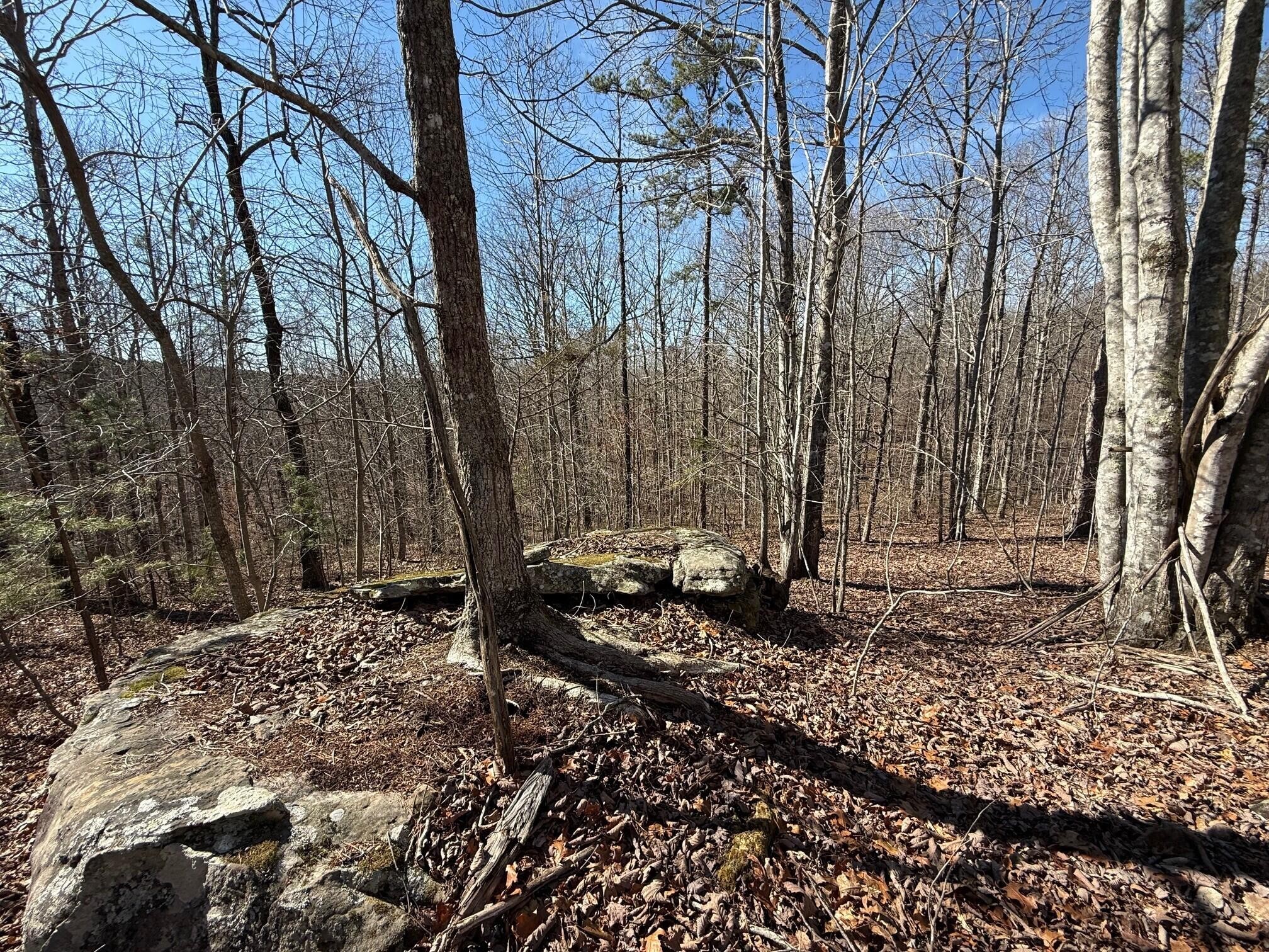 2 South Pittsburg Mtn Road South Pittsburg TN 37380
