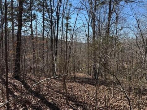 2 South Pittsburg Mtn Road South Pittsburg TN 37380