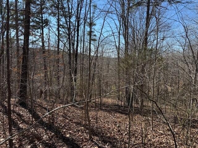 2 South Pittsburg Mtn Road South Pittsburg TN 37380