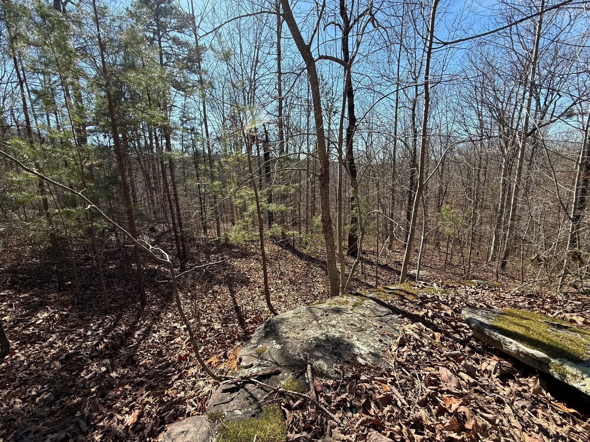 2 South Pittsburg Mtn Road South Pittsburg TN 37380